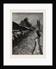 The American Fisheries Question, Shad Fishing on the Potomac, United States by Anonymous