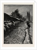 The American Fisheries Question, Shad Fishing on the Potomac, United States by Anonymous