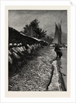 The American Fisheries Question, Shad Fishing on the Potomac, United States by Anonymous