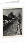 The American Fisheries Question, Shad Fishing on the Potomac, United States by Anonymous
