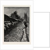 The American Fisheries Question, Shad Fishing on the Potomac, United States by Anonymous