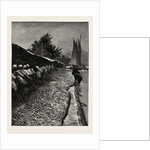 The American Fisheries Question, Shad Fishing on the Potomac, United States by Anonymous