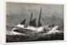 The American Fisheries Question, Fishing Schooner Icing Up in a Winter Gale, United States by Anonymous