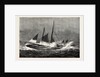 The American Fisheries Question, Fishing Schooner Icing Up in a Winter Gale, United States by Anonymous