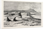 The American Fisheries Question, Fur Seal Rookery in the Pribylov Islands, United States by Anonymous
