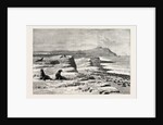 The American Fisheries Question, Fur Seal Rookery in the Pribylov Islands, United States by Anonymous