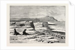 The American Fisheries Question, Fur Seal Rookery in the Pribylov Islands, United States by Anonymous