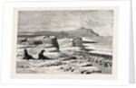 The American Fisheries Question, Fur Seal Rookery in the Pribylov Islands, United States by Anonymous