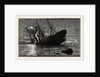 The Loss of the Ss. Quetta Off Thursday Island, Northern Australia by Anonymous