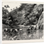 The Chin Lushai Expeditionary Force, a Mule Convoy Crossing the Loung Gut Choung Stream by Anonymous