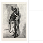 British Central Africa by Anonymous