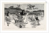 To Show Them His Poultry, He Turned Them All Loose, When Each Nimbly Leaped on the Back of a Goose, which Frightened Them So, that They Ran to the Sea, and Half-Drowned the Cats of Dame Wiggins of Lee by Anonymous