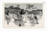 To Show Them His Poultry, He Turned Them All Loose, When Each Nimbly Leaped on the Back of a Goose, which Frightened Them So, that They Ran to the Sea, and Half-Drowned the Cats of Dame Wiggins of Lee by Anonymous