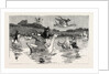 To Show Them His Poultry, He Turned Them All Loose, When Each Nimbly Leaped on the Back of a Goose, which Frightened Them So, that They Ran to the Sea, and Half-Drowned the Cats of Dame Wiggins of Lee by Anonymous