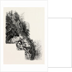 On the Tete Noir by Anonymous