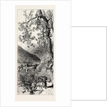 Torno, Lago Di Como, Lario, the Italian Lakes, Italy by Anonymous