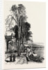 Luino, Lago Maggiore, the Italian Lakes, Italy by Anonymous