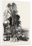 Luino, Lago Maggiore, the Italian Lakes, Italy by Anonymous