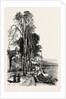 Luino, Lago Maggiore, the Italian Lakes, Italy by Anonymous