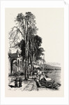 Luino, Lago Maggiore, the Italian Lakes, Italy by Anonymous