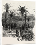 At Monte Carlo, Monaco, the Cornice Road by Anonymous