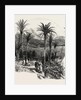 At Monte Carlo, Monaco, the Cornice Road by Anonymous