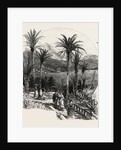 At Monte Carlo, Monaco, the Cornice Road by Anonymous