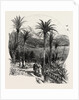 At Monte Carlo, Monaco, the Cornice Road by Anonymous