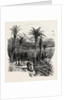 At Monte Carlo, Monaco, the Cornice Road by Anonymous