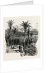 At Monte Carlo, Monaco, the Cornice Road by Anonymous