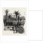 At Monte Carlo, Monaco, the Cornice Road by Anonymous