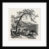 Mentone, the Cornice Road, Menton, France, Menton by Anonymous