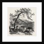 Mentone, the Cornice Road, Menton, France, Menton by Anonymous