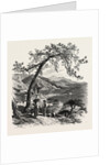 Mentone, the Cornice Road, Menton, France, Menton by Anonymous
