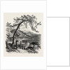 Mentone, the Cornice Road, Menton, France, Menton by Anonymous