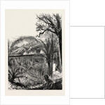 Ventimiglia, from the Cornice Road., Liguria, Italy by Anonymous