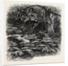 At Bas Breau, Bas-Breau, the Forest of Fontainebleau, France by Anonymous