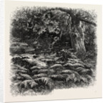 At Bas Breau, Bas-Breau, the Forest of Fontainebleau, France by Anonymous
