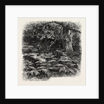 At Bas Breau, Bas-Breau, the Forest of Fontainebleau, France by Anonymous
