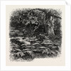 At Bas Breau, Bas-Breau, the Forest of Fontainebleau, France by Anonymous