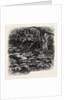 At Bas Breau, Bas-Breau, the Forest of Fontainebleau, France by Anonymous