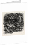 At Bas Breau, Bas-Breau, the Forest of Fontainebleau, France by Anonymous
