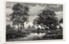 Mare Near Belle Croix, France by Anonymous