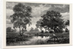 Mare Near Belle Croix, France by Anonymous