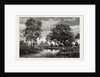 Mare Near Belle Croix, France by Anonymous