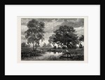 Mare Near Belle Croix, France by Anonymous