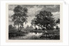 Mare Near Belle Croix, France by Anonymous