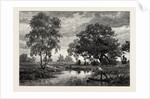 Mare Near Belle Croix, France by Anonymous