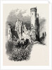 Ehrenfels, the Rhine, Germany by Anonymous