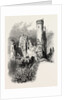 Ehrenfels, the Rhine, Germany by Anonymous